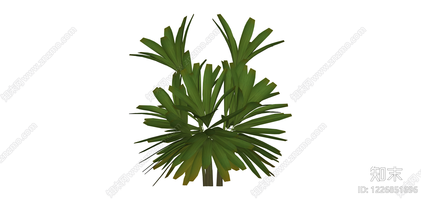 丛生散尾葵植物模型SU模型下载【ID:1226851696】