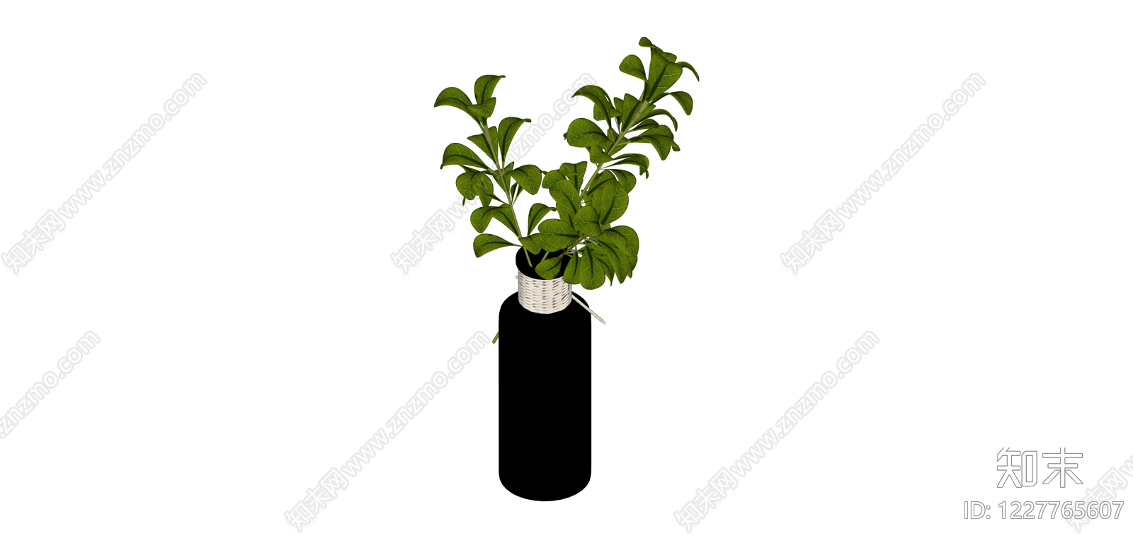 黑色瓶插绿植SU模型下载【ID:1227765607】
