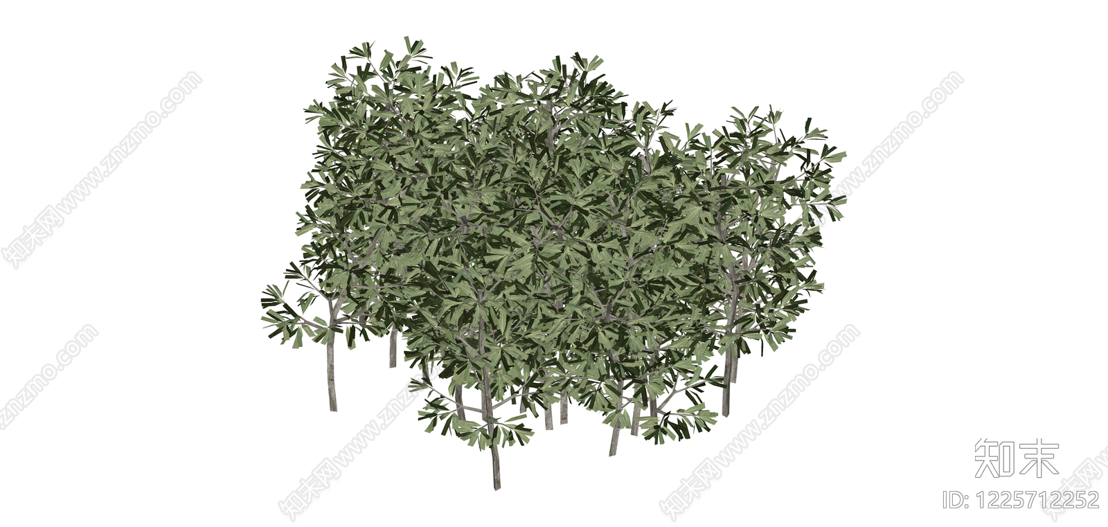 丛生灌木景观植物SU模型下载【ID:1225712252】