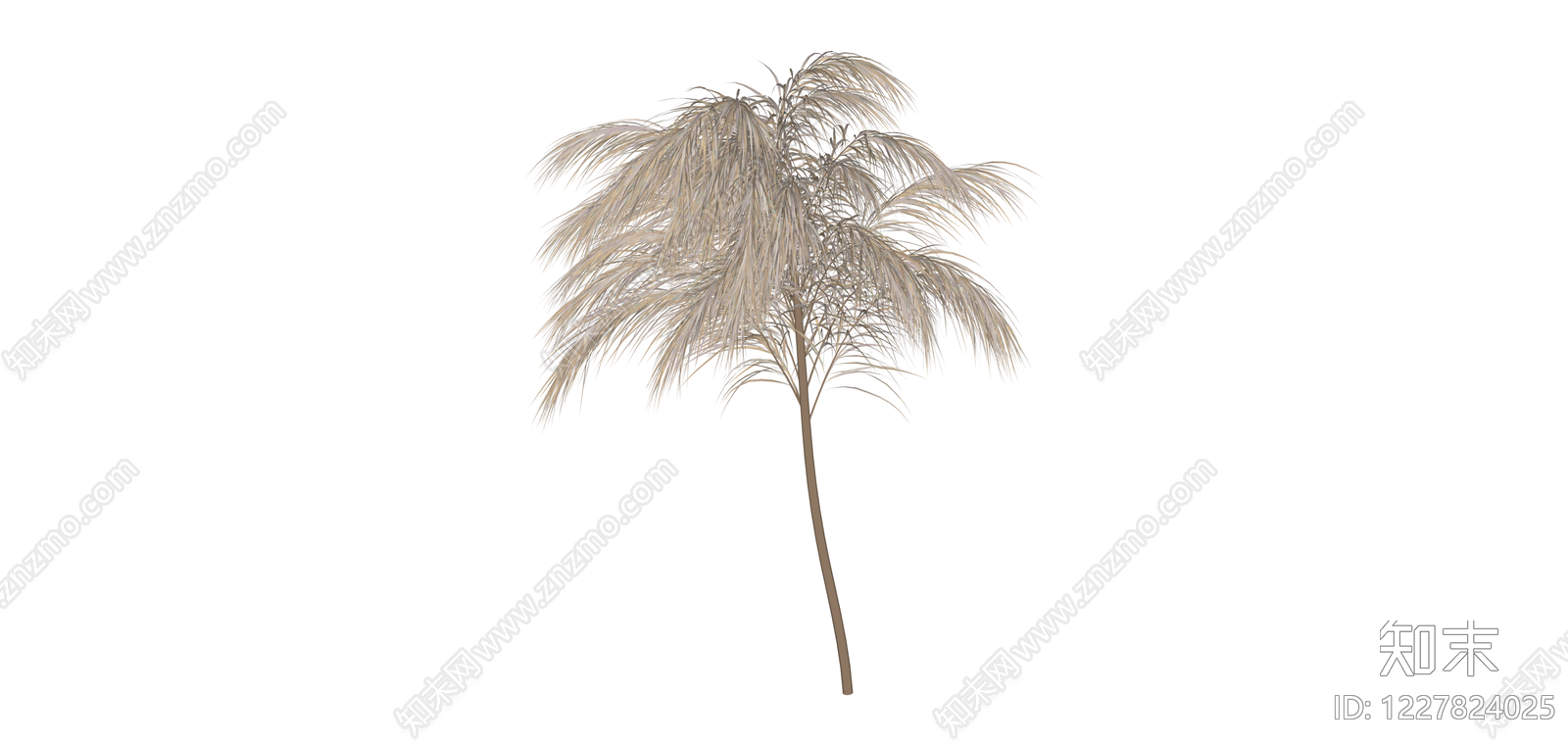 棕榈树植物模型SU模型下载【ID:1227824025】
