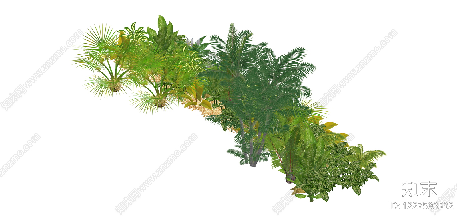 热带景观绿植组合SU模型下载【ID:1227593532】