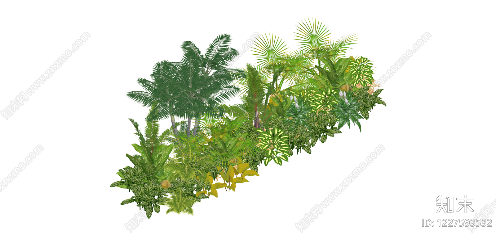 热带景观绿植组合SU模型下载【ID:1227593532】