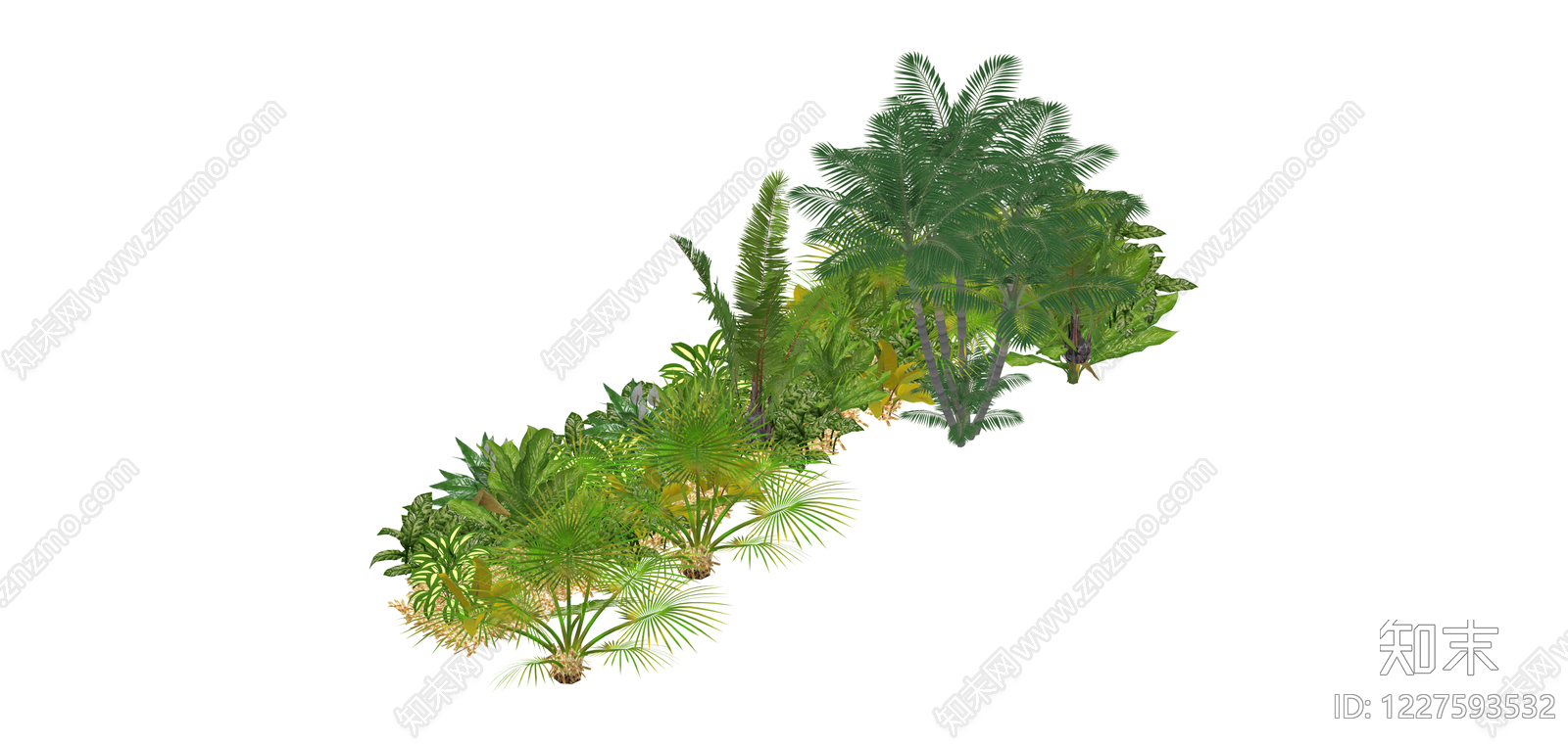 热带景观绿植组合SU模型下载【ID:1227593532】