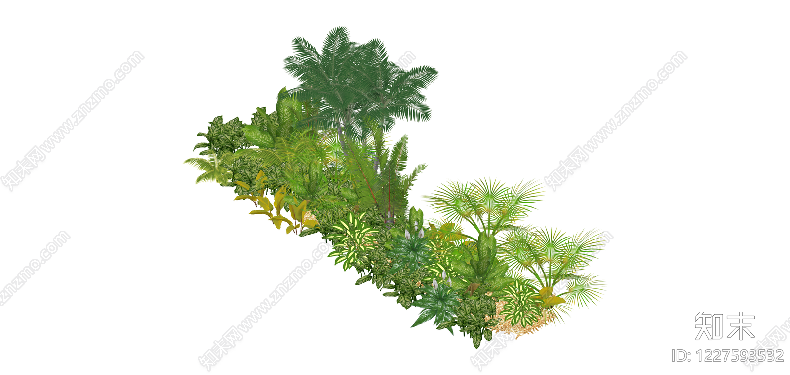 热带景观绿植组合SU模型下载【ID:1227593532】