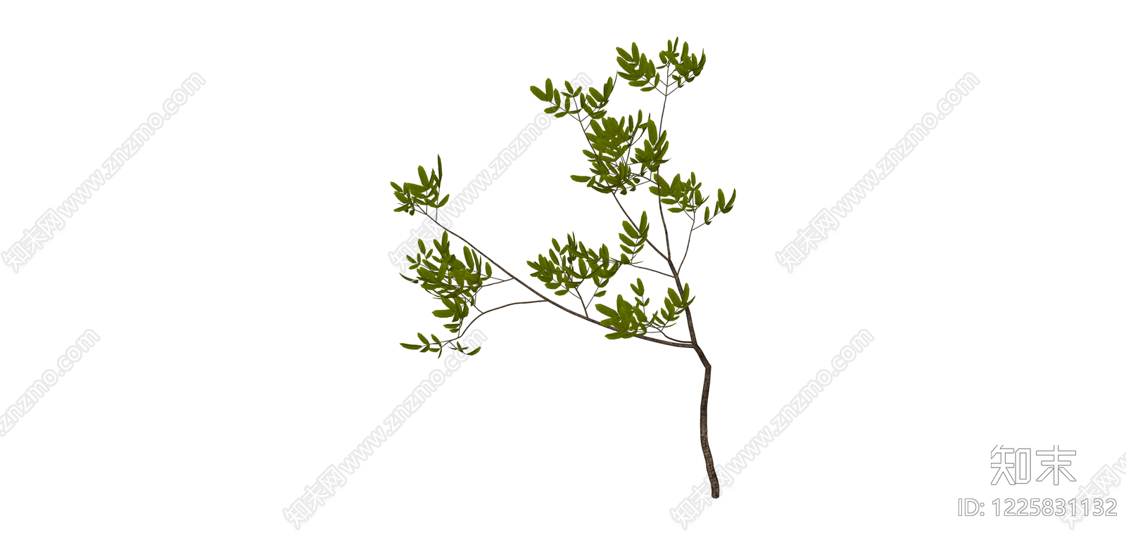 仿真绿植枝叶SU模型下载【ID:1225831132】