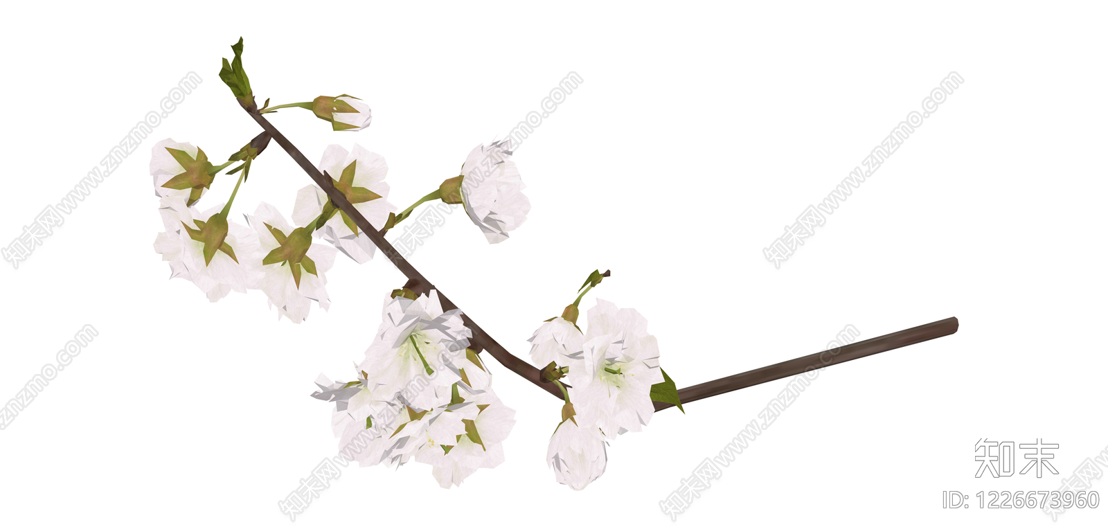 白色樱花树枝SU模型下载【ID:1226673960】