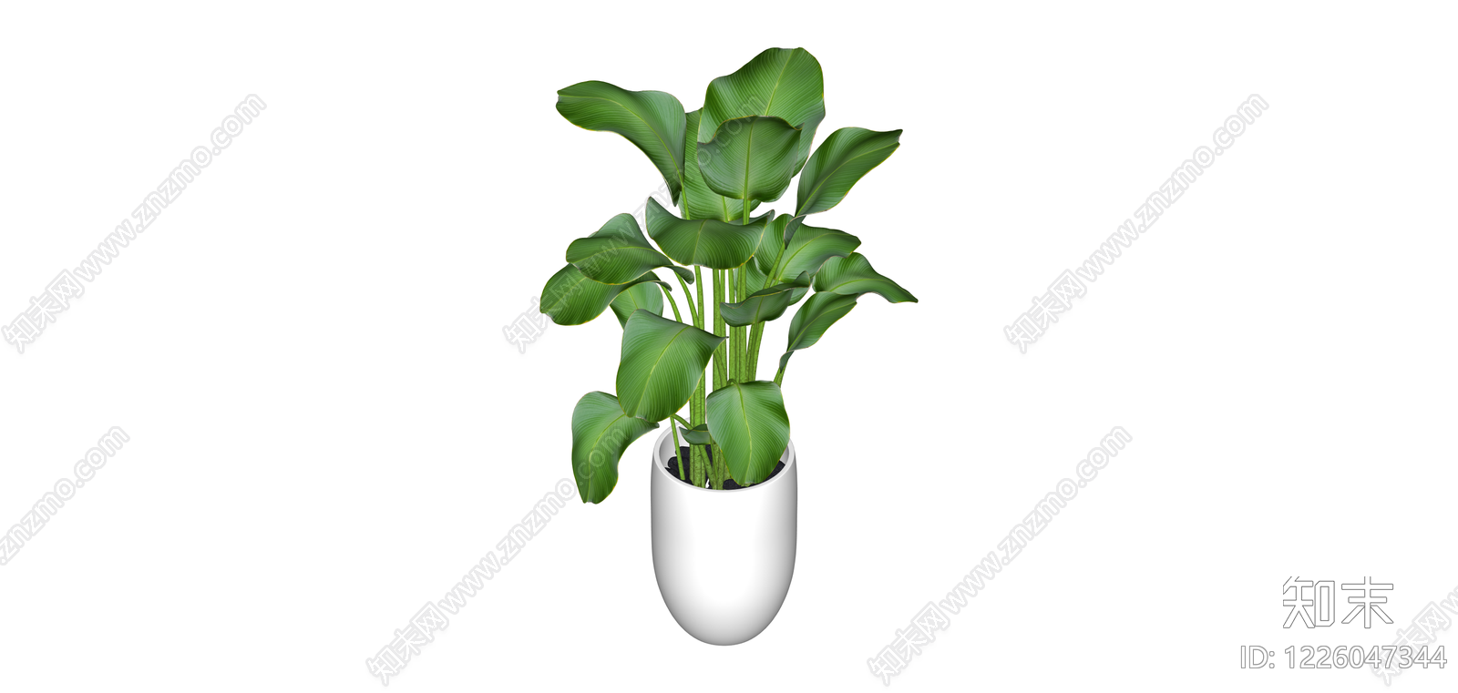 白盆绿植盆栽SU模型下载【ID:1226047344】