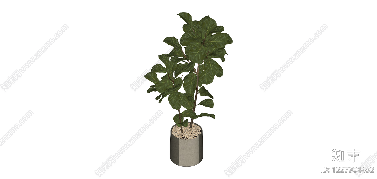 带盆琴叶榕盆栽SU模型下载【ID:1227904432】