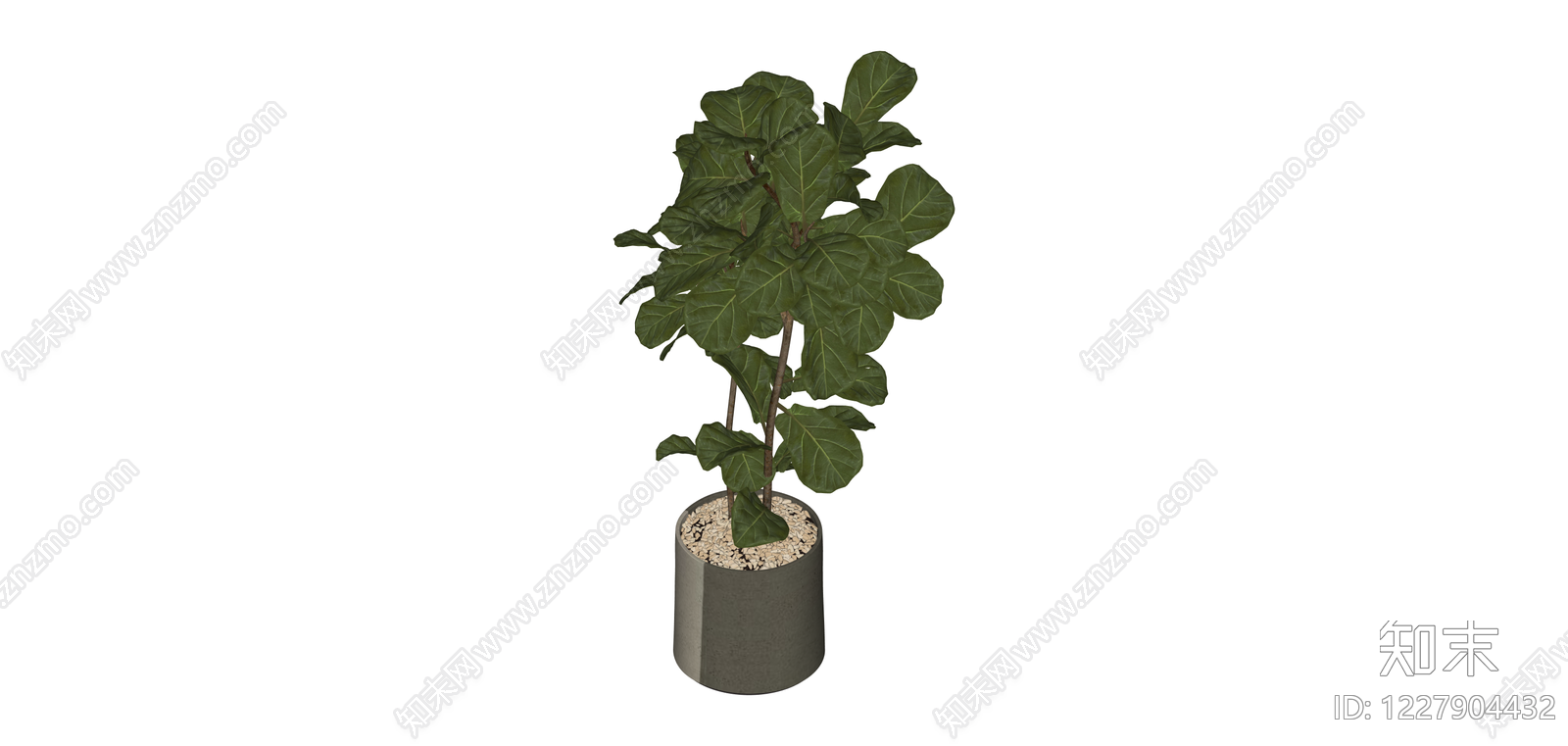 带盆琴叶榕盆栽SU模型下载【ID:1227904432】