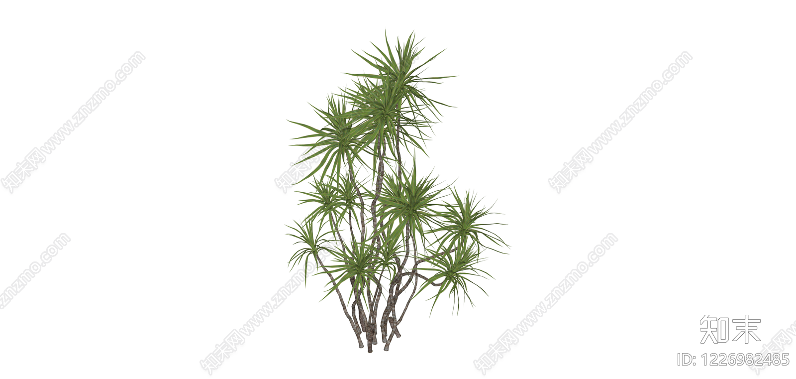 丛生龙血树绿植SU模型下载【ID:1226982485】
