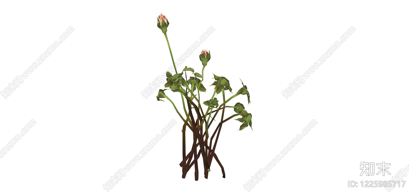 玫瑰花束植物组合SU模型下载【ID:1225985717】