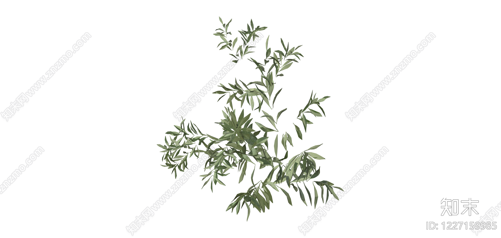 橄榄枝绿植组合SU模型下载【ID:1227159985】