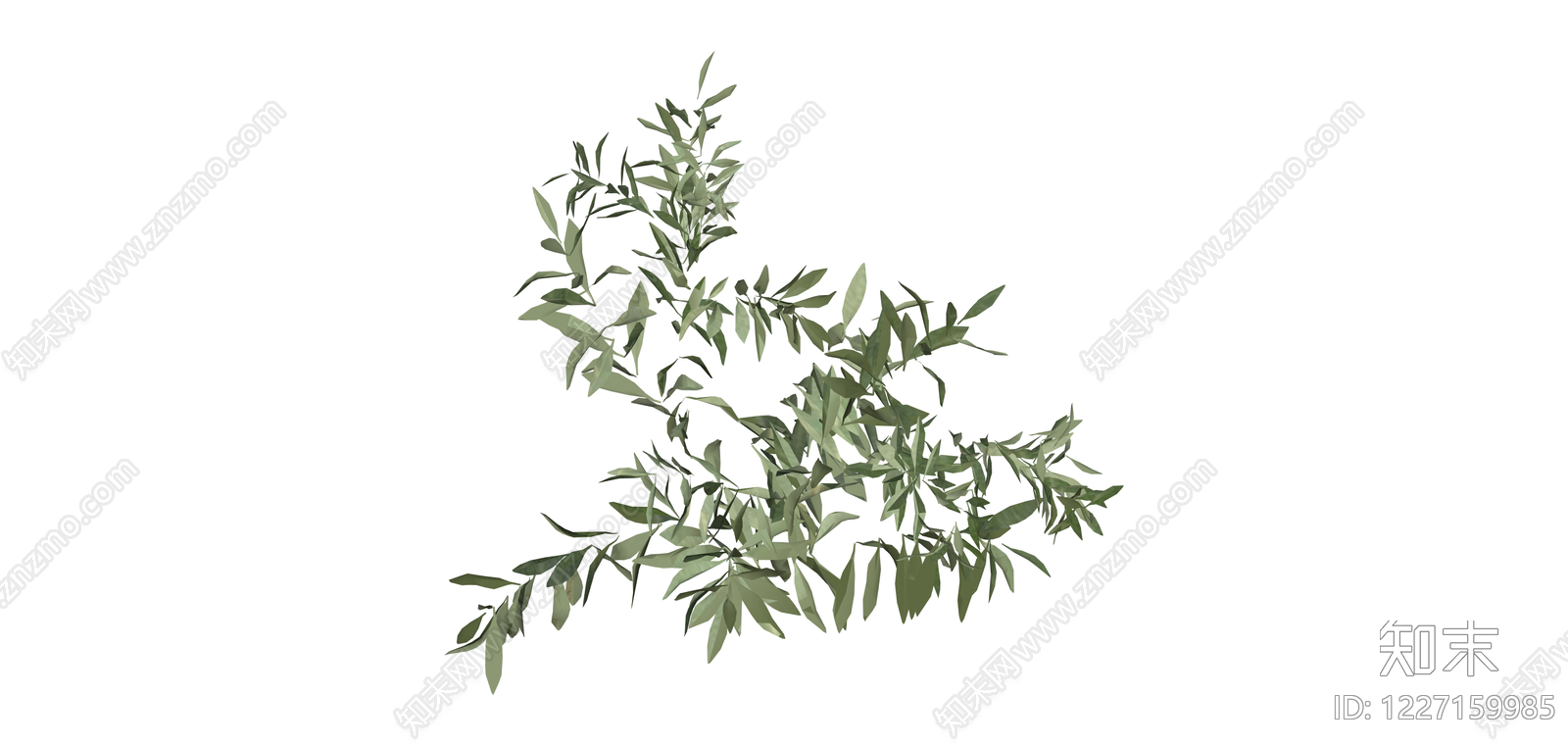 橄榄枝绿植组合SU模型下载【ID:1227159985】