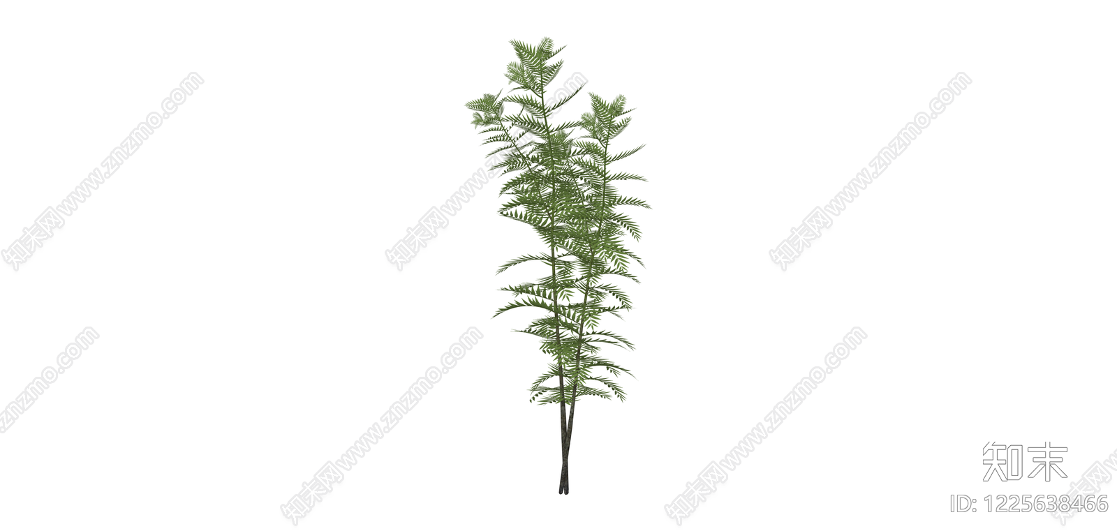 仿真蕨类植物SU模型下载【ID:1225638466】