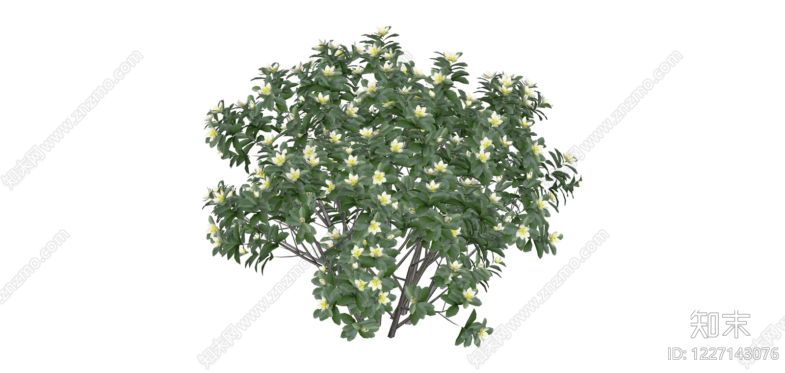 开花灌木植物模型SU模型下载【ID:1227143076】