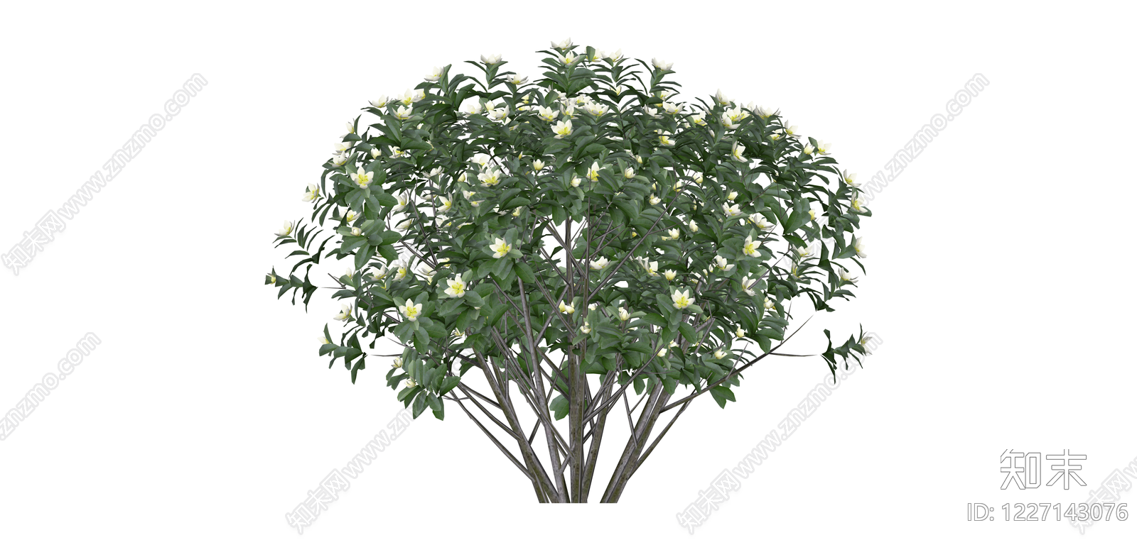 开花灌木植物模型SU模型下载【ID:1227143076】