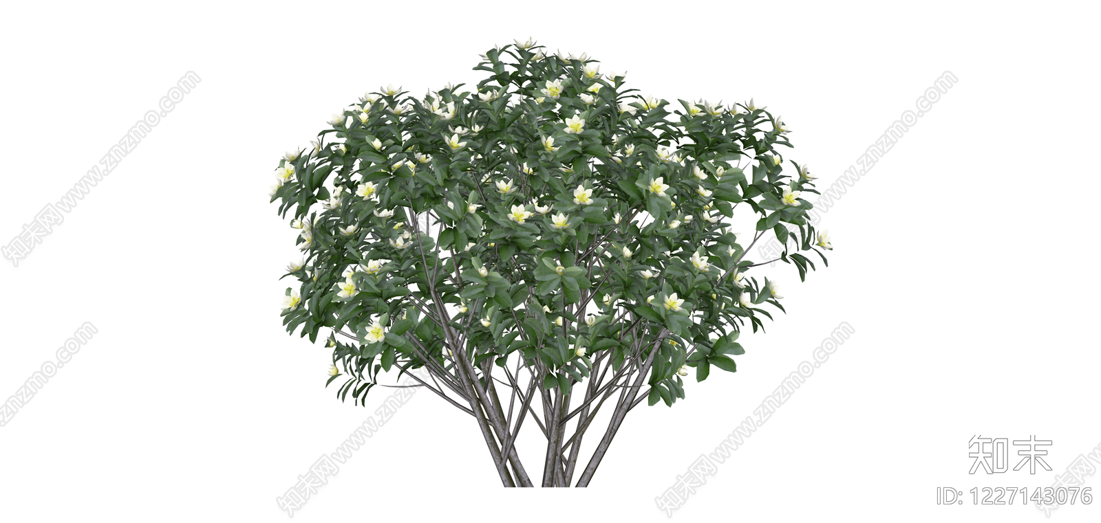 开花灌木植物模型SU模型下载【ID:1227143076】