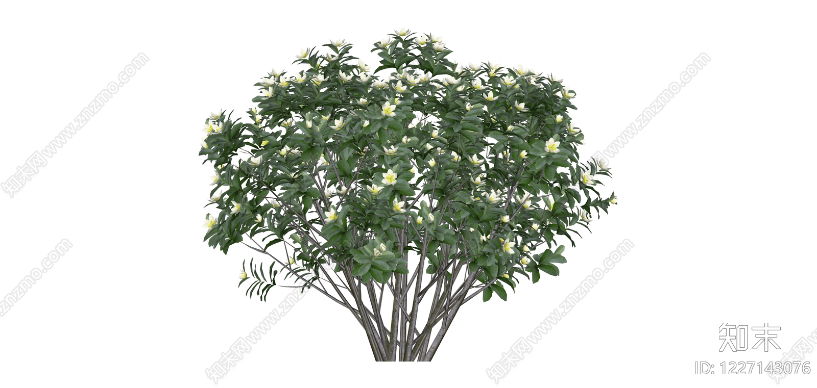开花灌木植物模型SU模型下载【ID:1227143076】