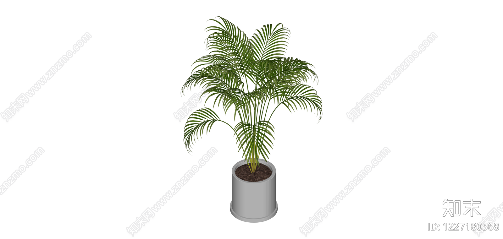 盆栽散尾葵SU模型下载【ID:1227180568】