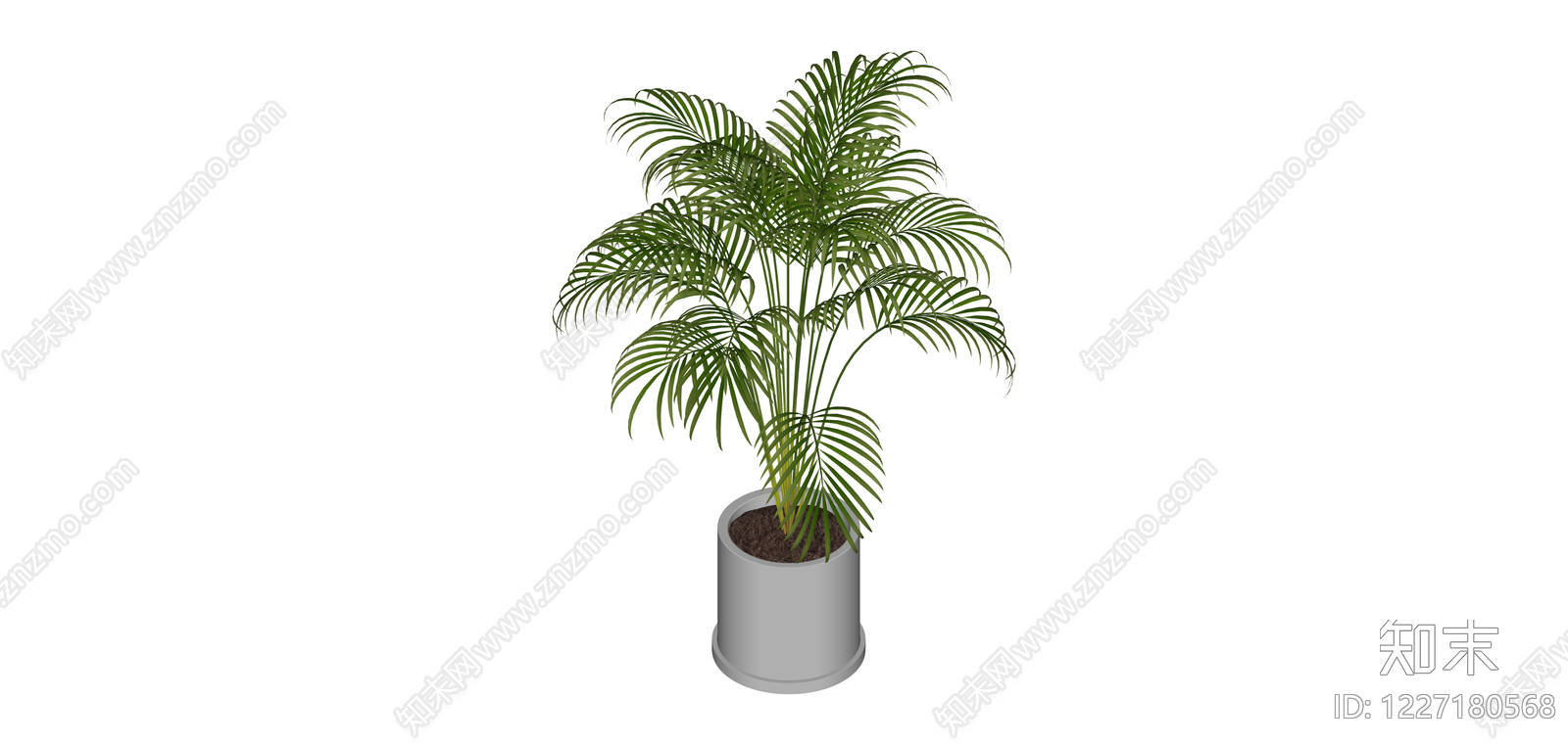 盆栽散尾葵SU模型下载【ID:1227180568】