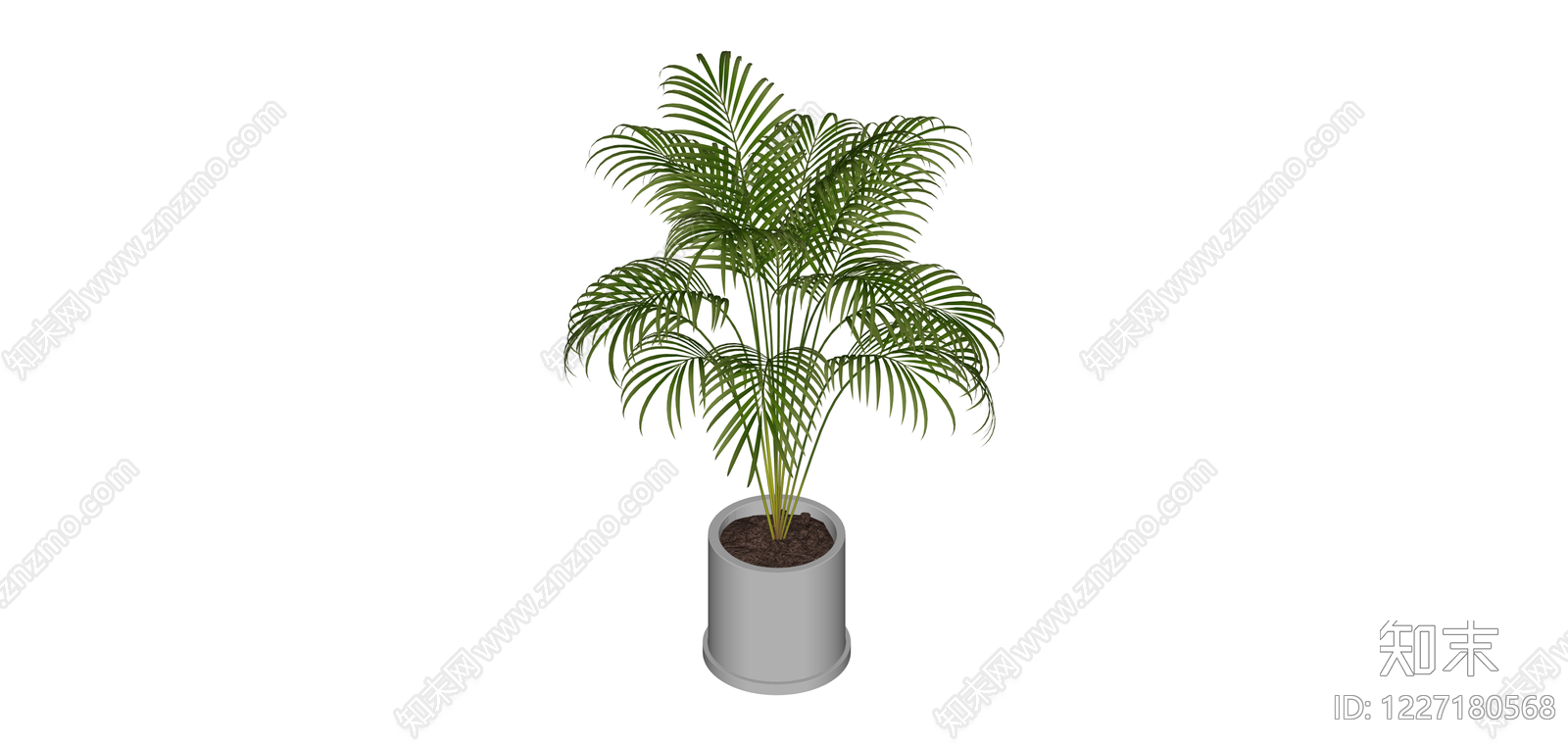 盆栽散尾葵SU模型下载【ID:1227180568】