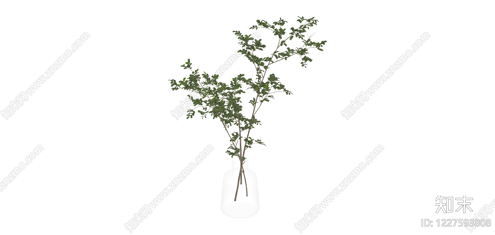 透明花瓶插绿植SU模型下载【ID:1227593808】