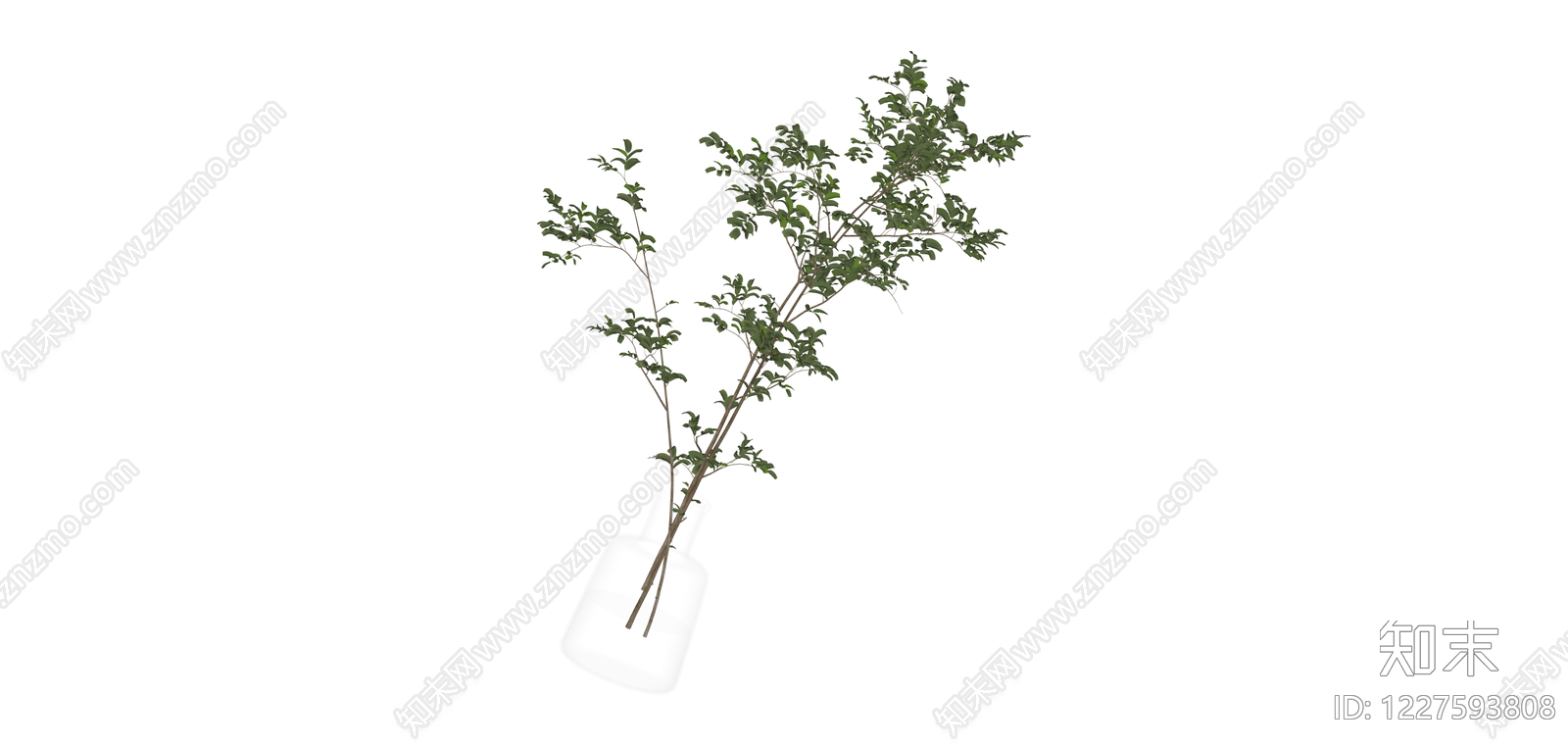 透明花瓶插绿植SU模型下载【ID:1227593808】