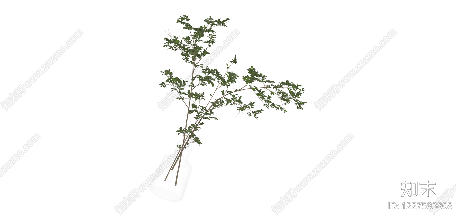 透明花瓶插绿植SU模型下载【ID:1227593808】