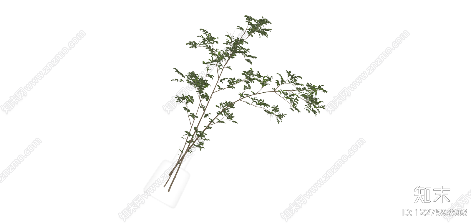 透明花瓶插绿植SU模型下载【ID:1227593808】