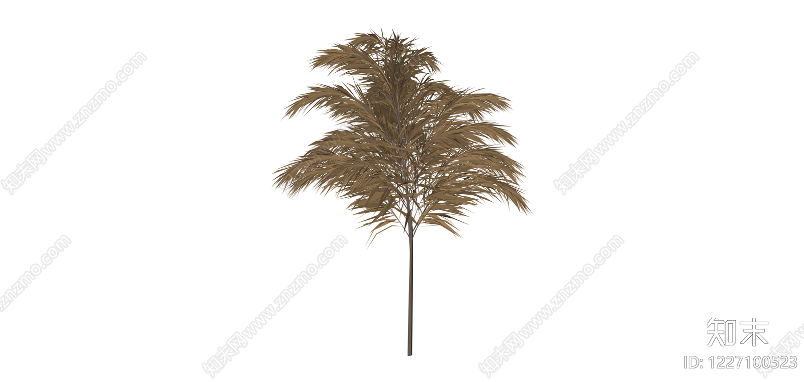 枯黄棕榈树植物模型SU模型下载【ID:1227100523】