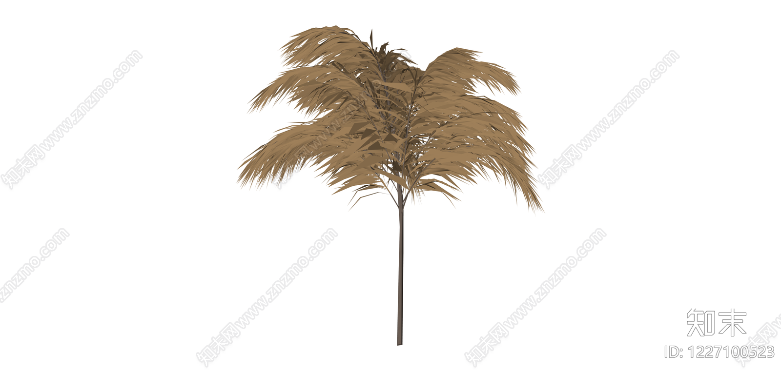 枯黄棕榈树植物模型SU模型下载【ID:1227100523】
