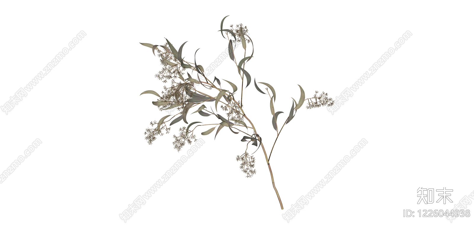 干枯尤加利叶花艺SU模型下载【ID:1226044938】