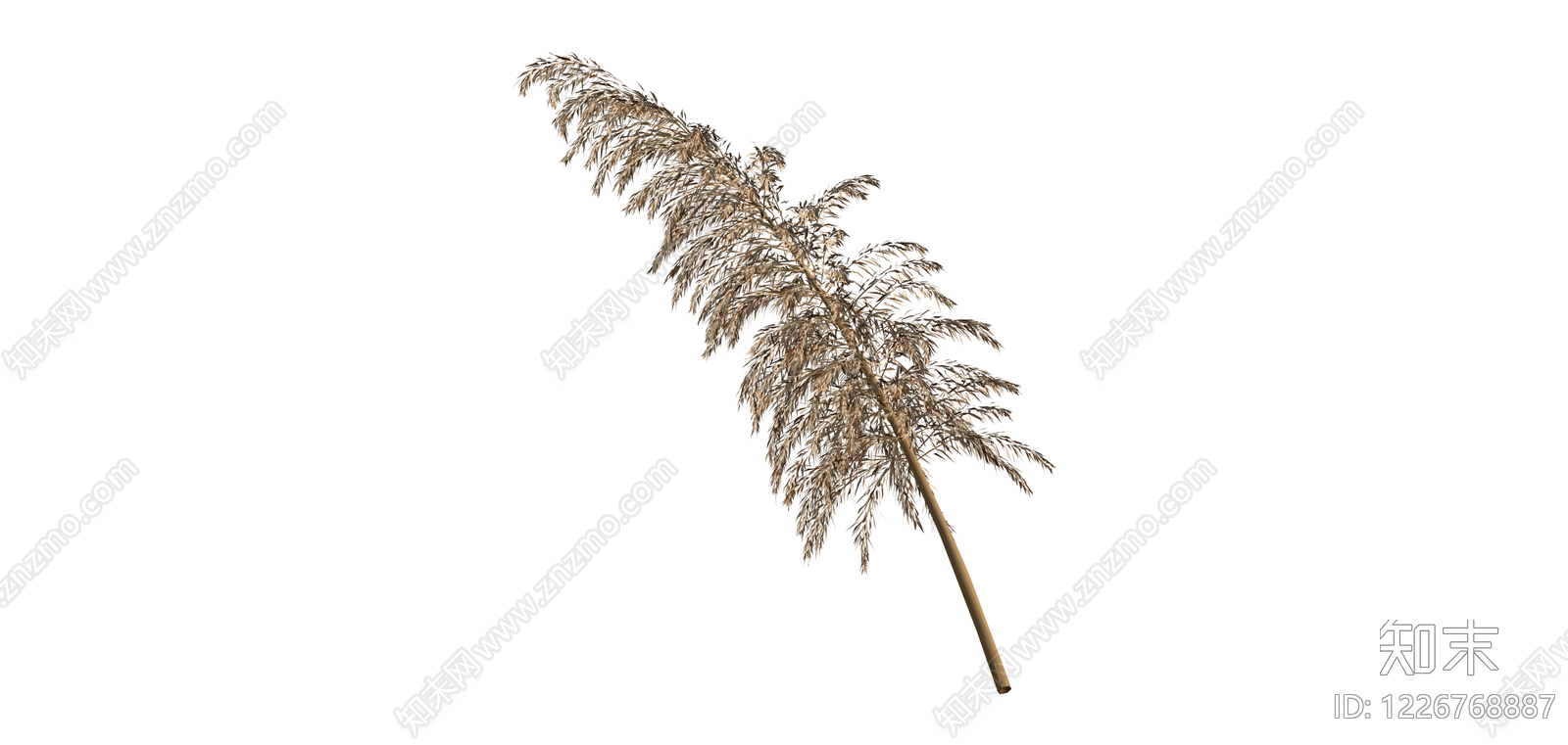 芦苇枯草植物模型SU模型下载【ID:1226768887】