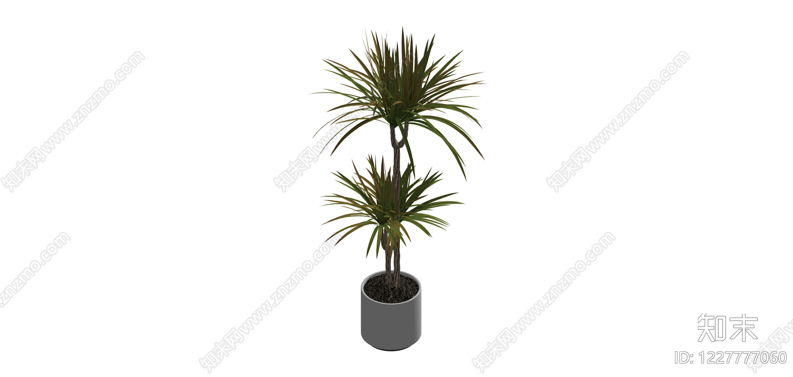 双头盆栽绿植SU模型下载【ID:1227777060】