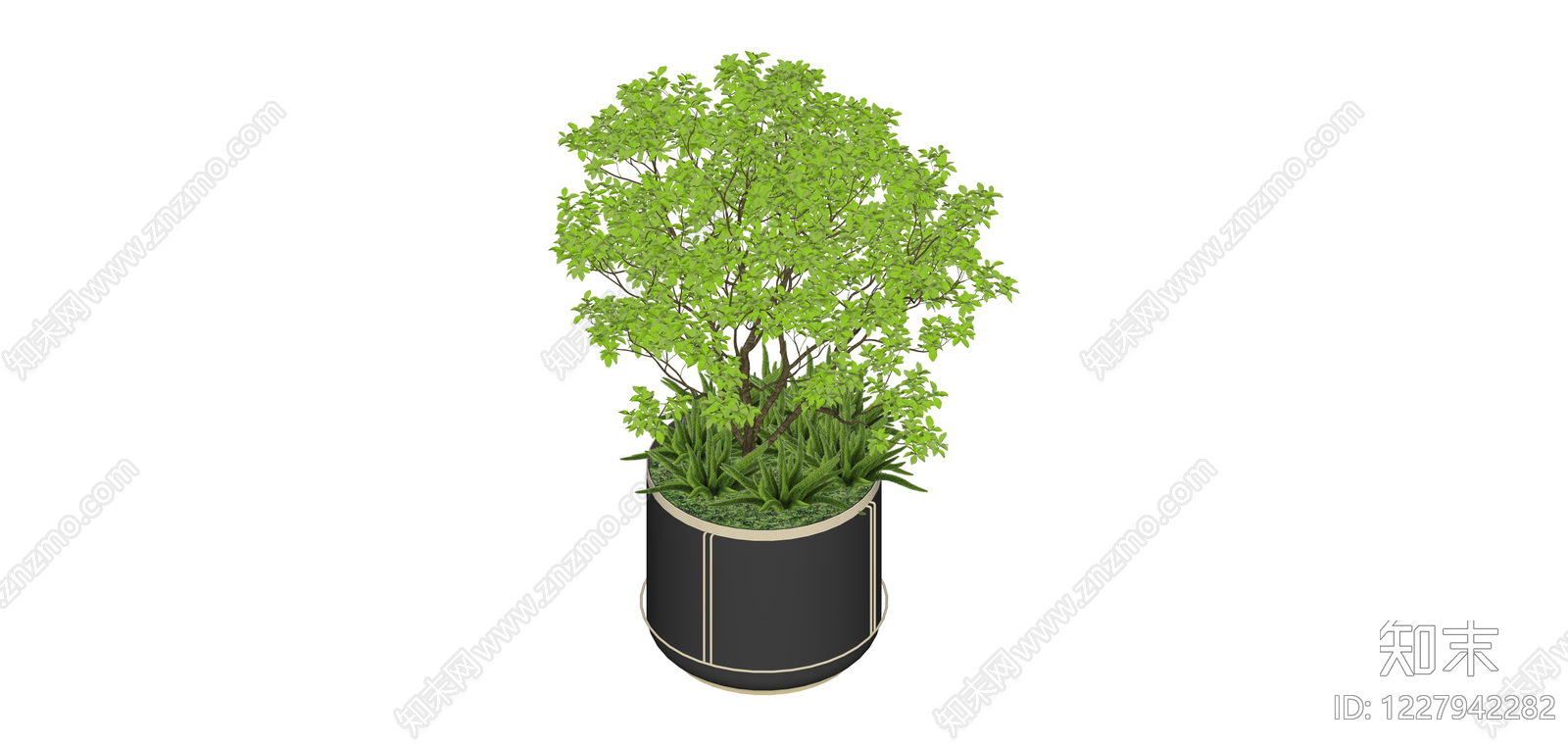 黑色方形盆栽绿植SU模型下载【ID:1227942282】