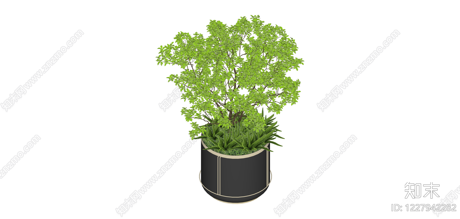 黑色方形盆栽绿植SU模型下载【ID:1227942282】