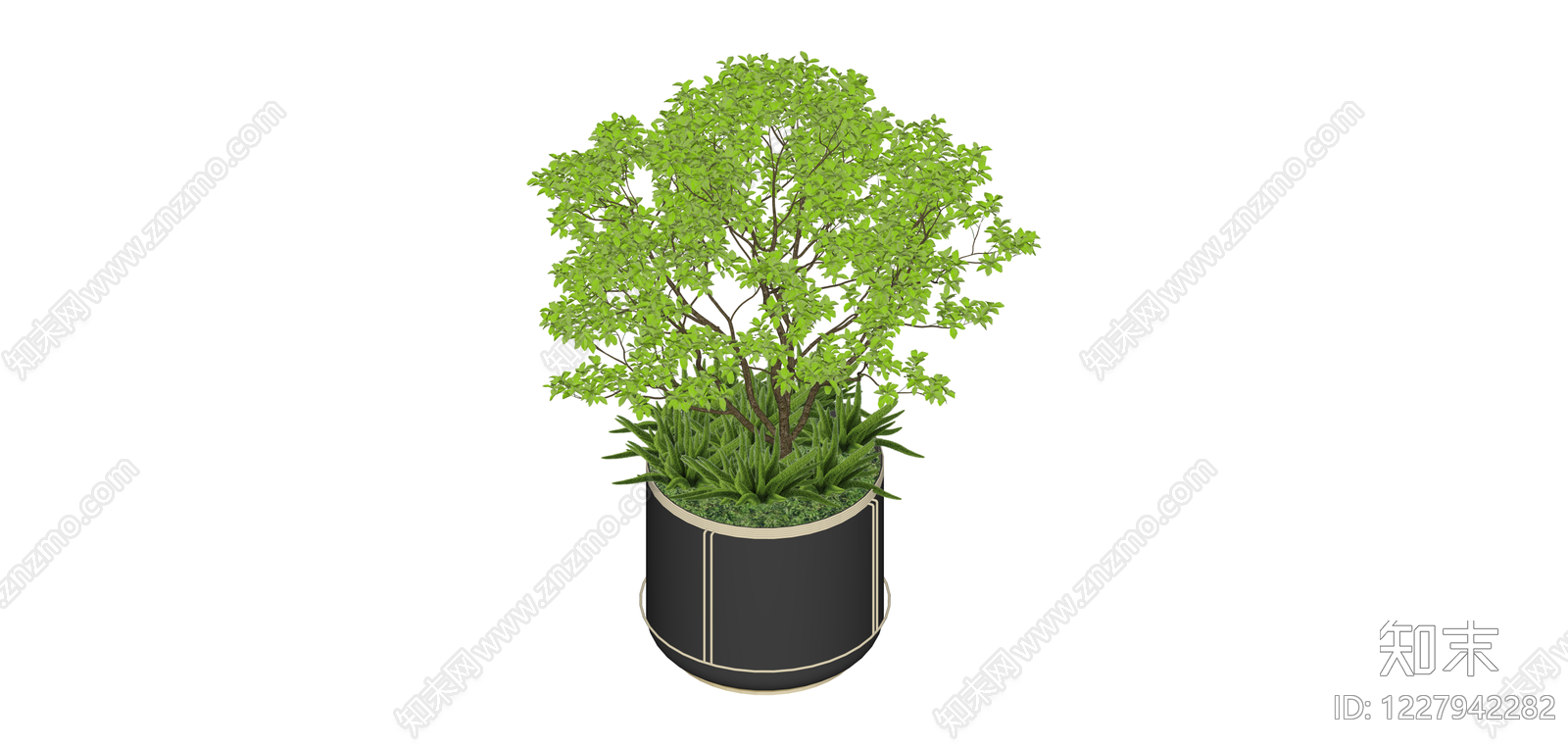 黑色方形盆栽绿植SU模型下载【ID:1227942282】