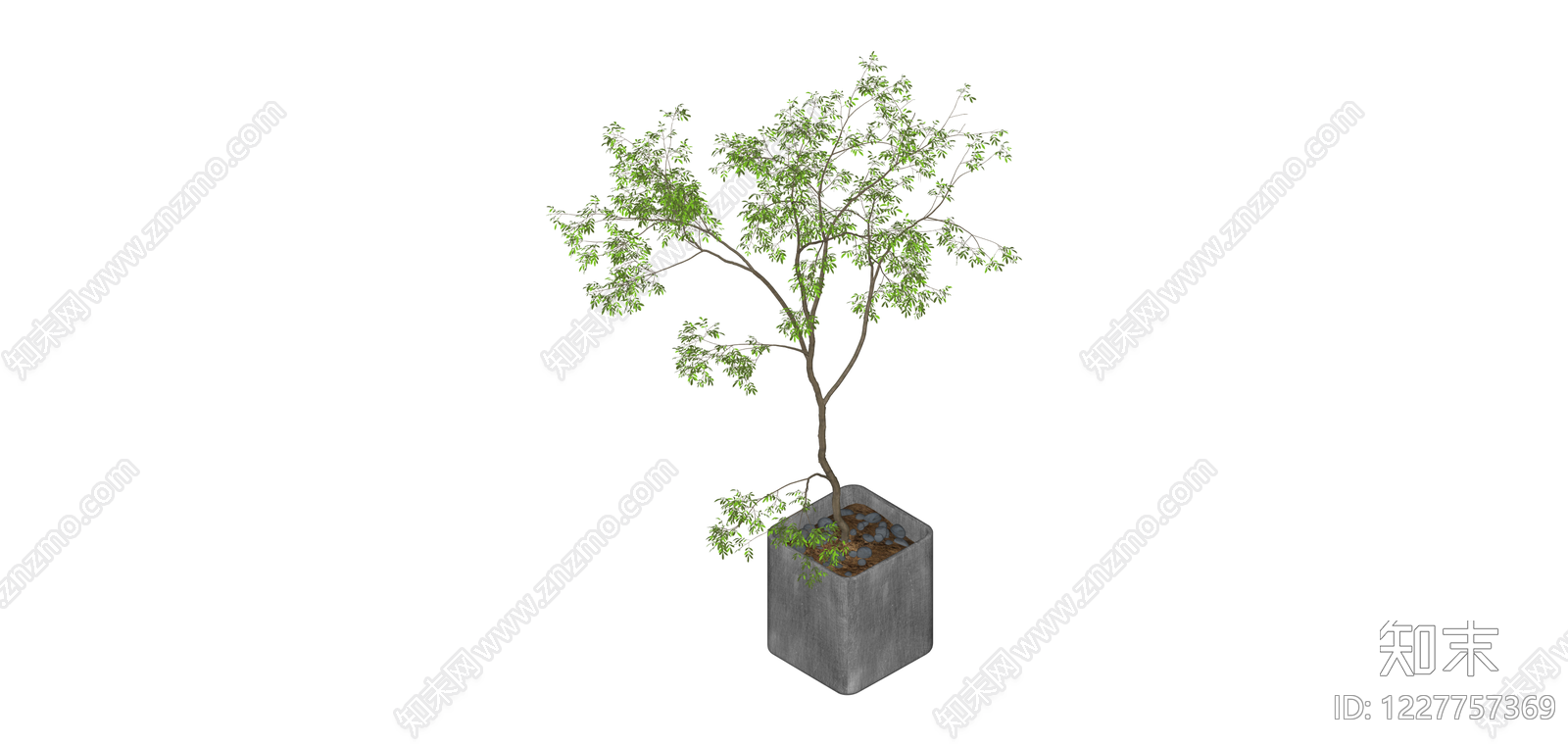 盆栽绿植景观树SU模型下载【ID:1227757369】