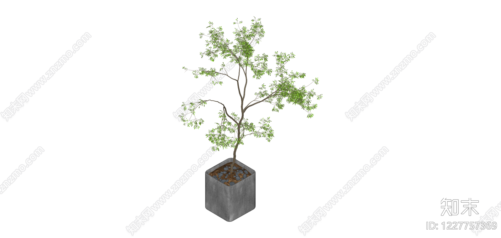 盆栽绿植景观树SU模型下载【ID:1227757369】
