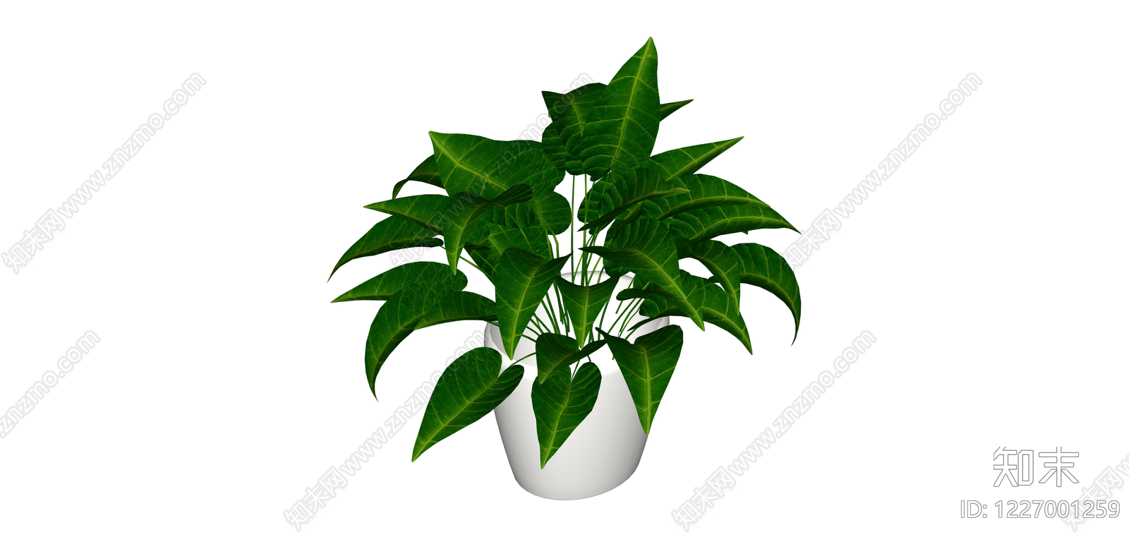 绿叶盆栽植物SU模型下载【ID:1227001259】
