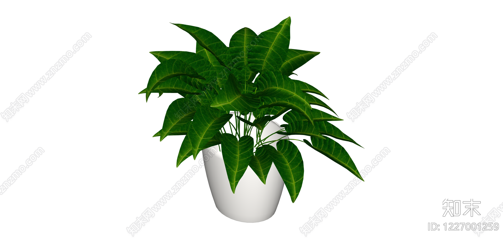 绿叶盆栽植物SU模型下载【ID:1227001259】
