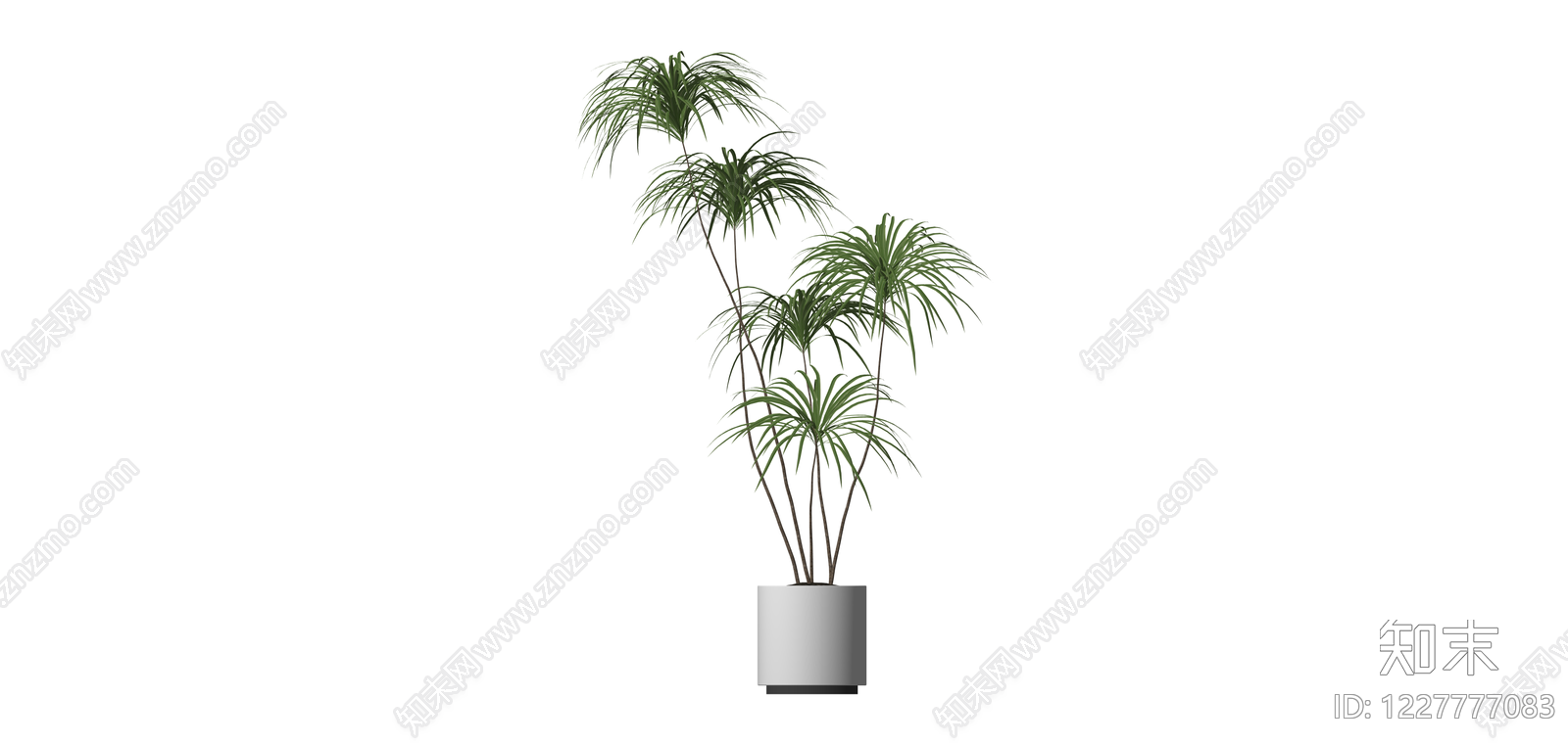 多杆盆栽绿植SU模型下载【ID:1227777083】