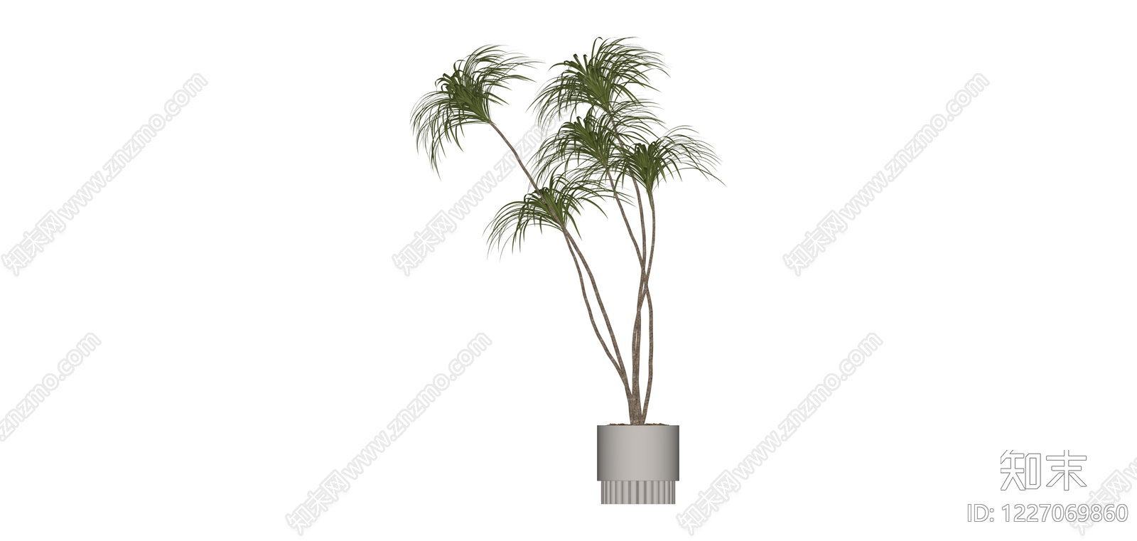 盆栽绿植SU模型下载【ID:1227069860】