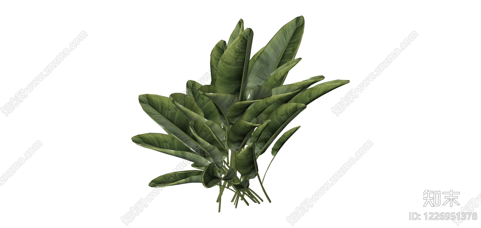 丛生阔叶绿植模型SU模型下载【ID:1226951378】