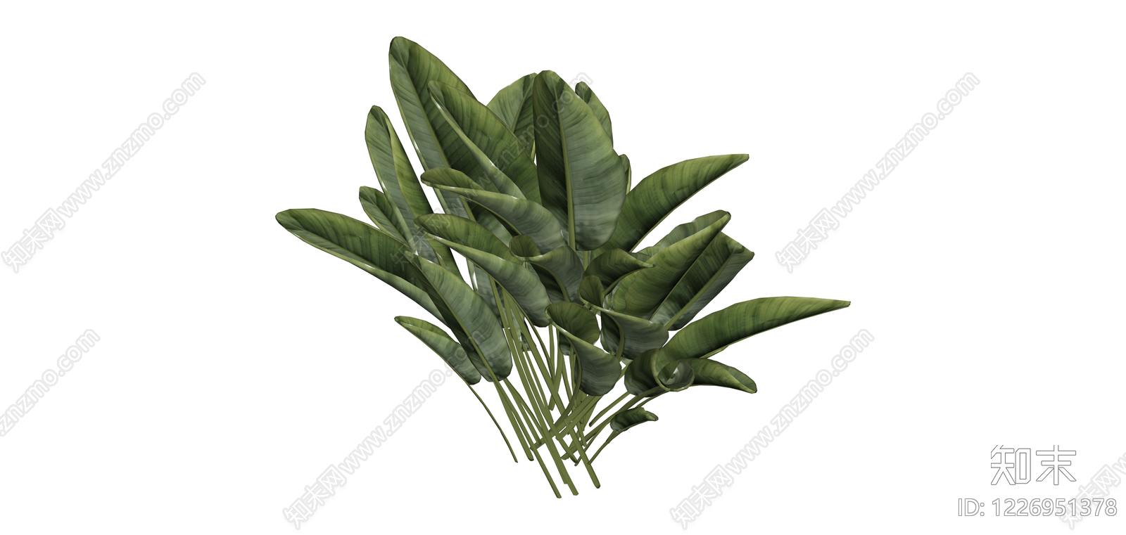 丛生阔叶绿植模型SU模型下载【ID:1226951378】