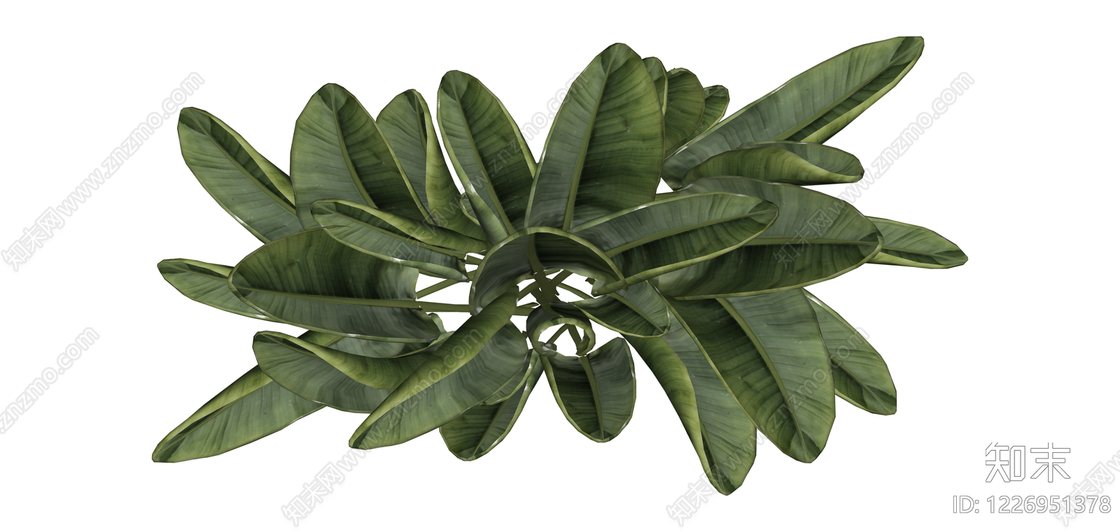 丛生阔叶绿植模型SU模型下载【ID:1226951378】