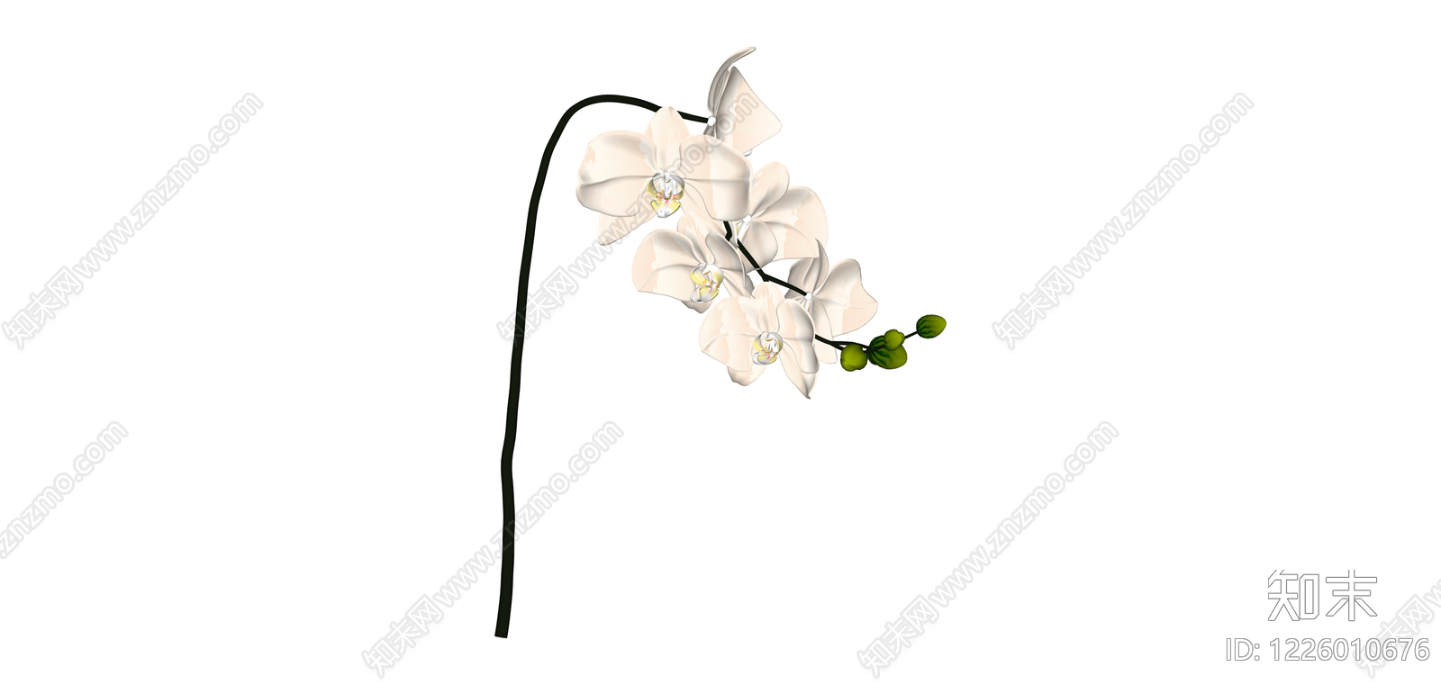 白色蝴蝶兰仿真花艺SU模型下载【ID:1226010676】