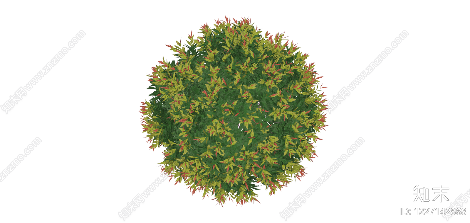 彩叶灌木球景观植物SU模型下载【ID:1227142868】