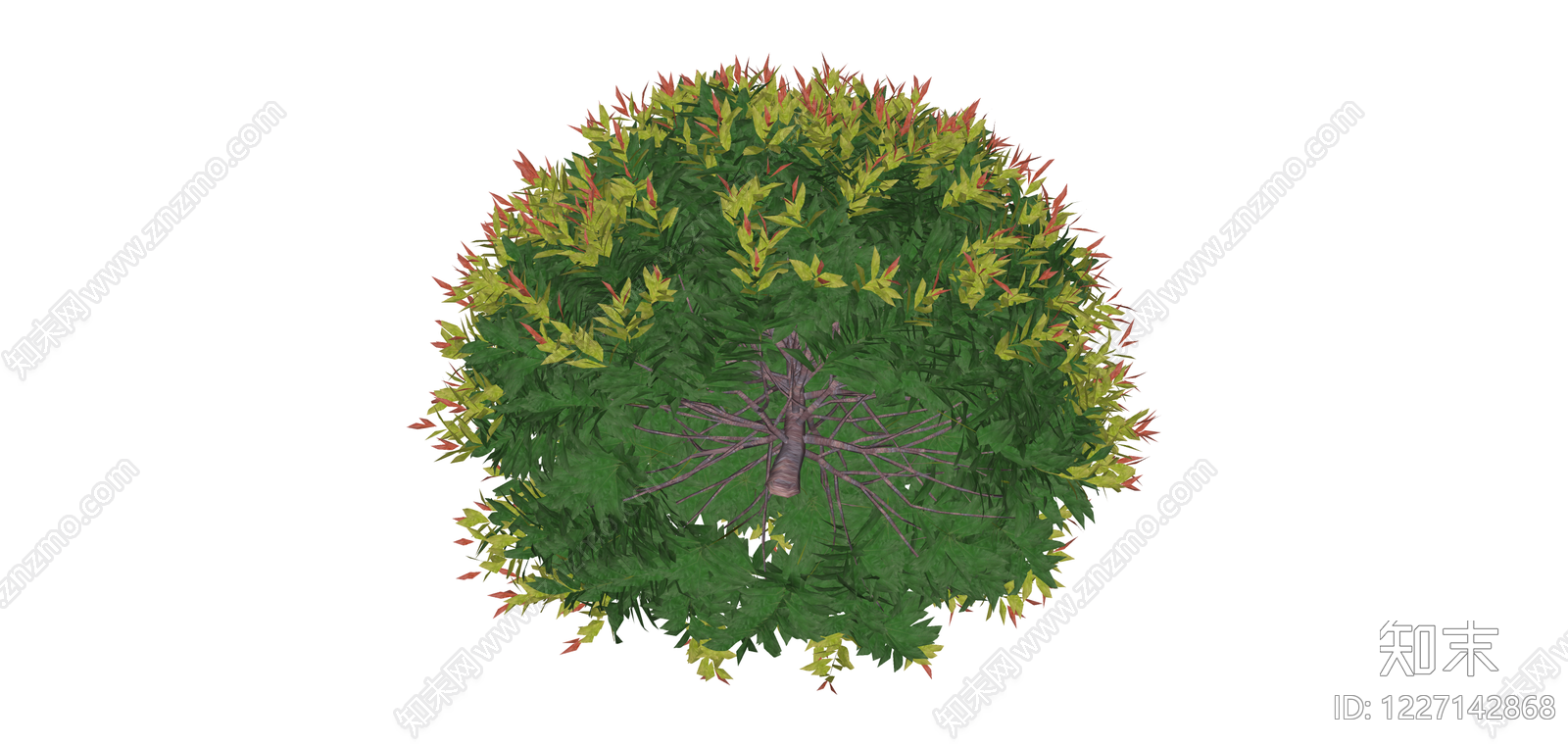 彩叶灌木球景观植物SU模型下载【ID:1227142868】