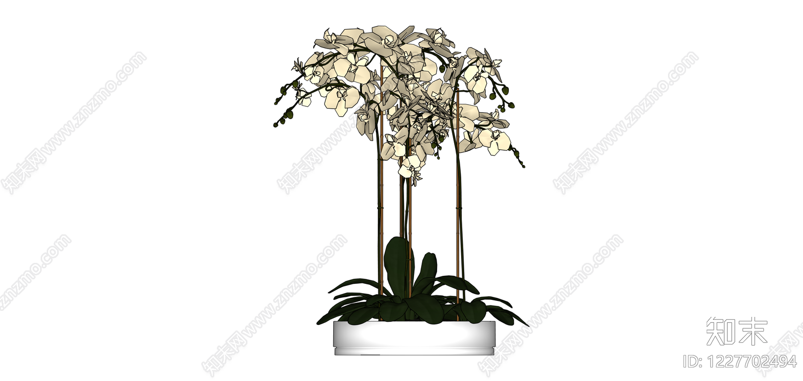 白色蝴蝶兰盆栽组合SU模型下载【ID:1227702494】